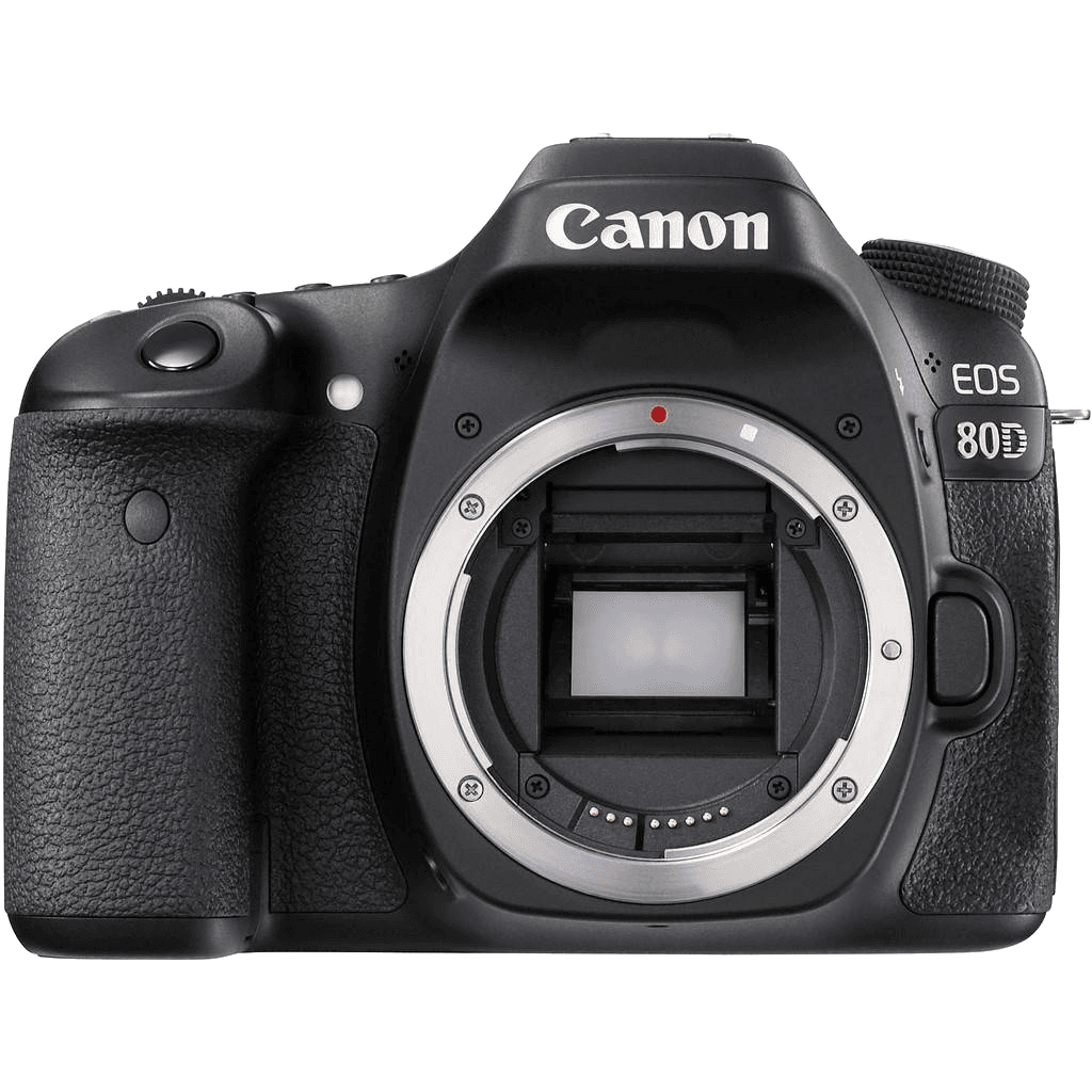Canon EOS 80D (Body)
